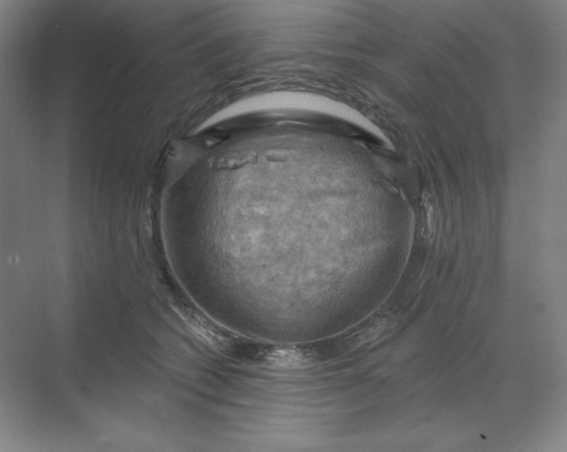 X0000068820562200605191836