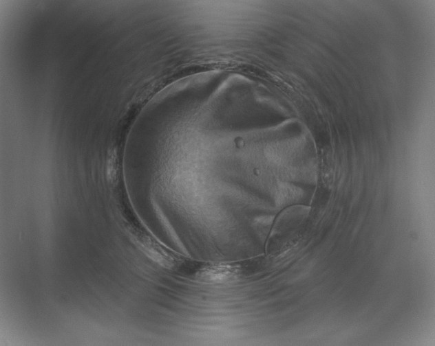 X0000068820563200605191836