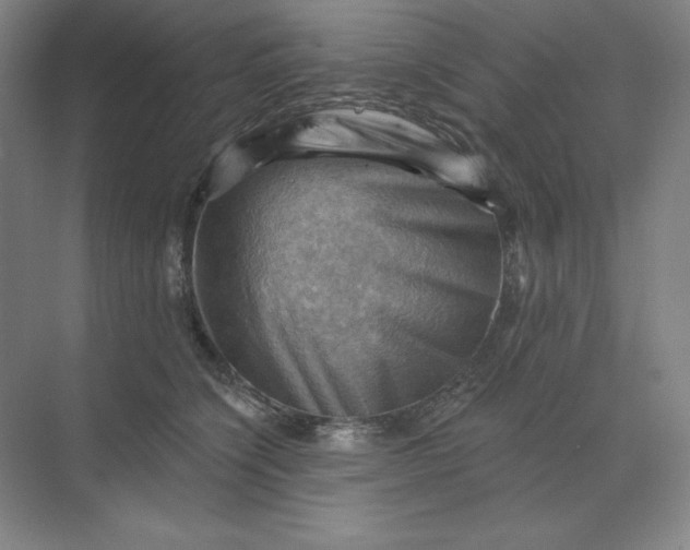 X0000068820564200605191836