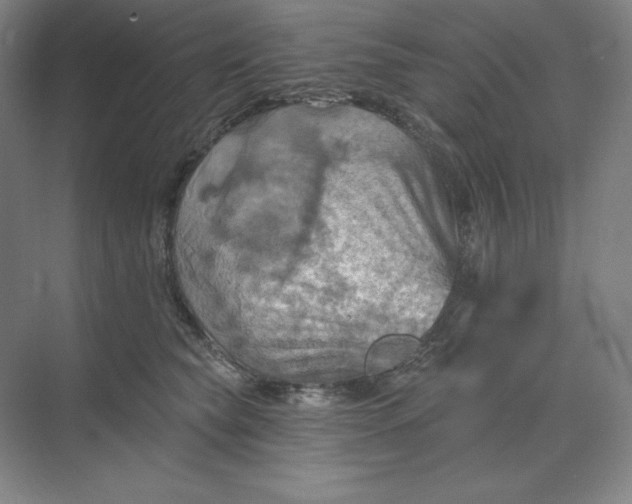 X0000068820565200605191836