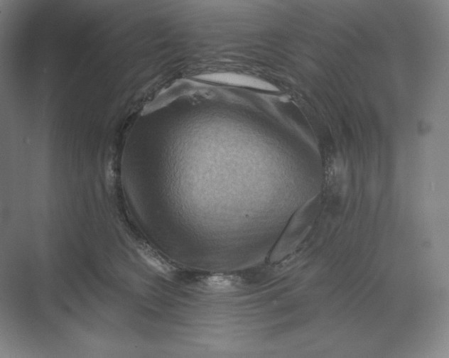 X0000068820566200605191836