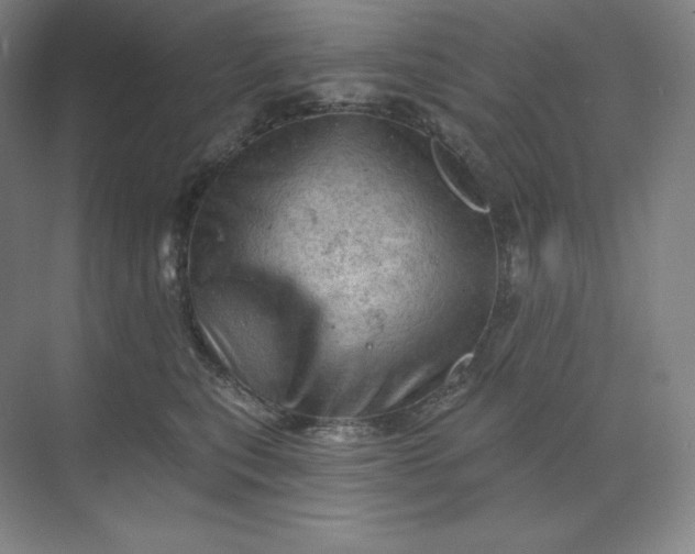 X0000068820567200605191836