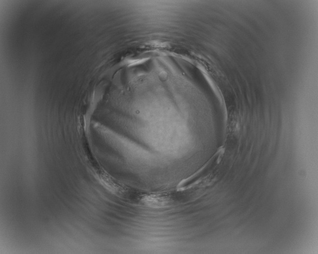 X0000068820568200605191836