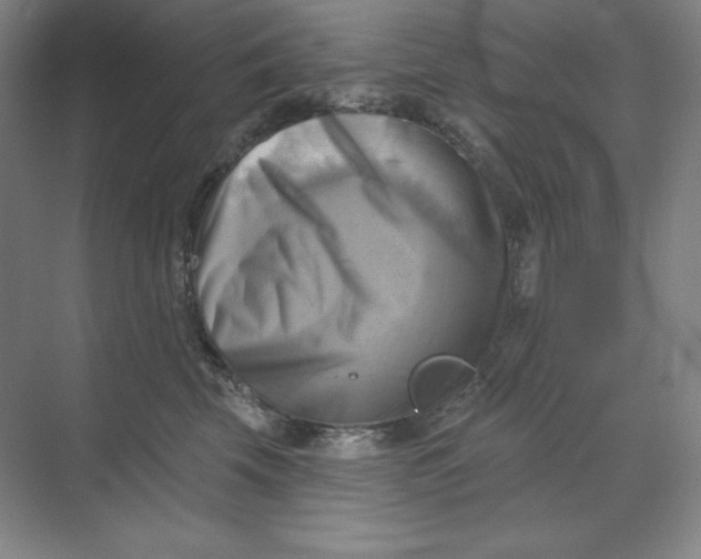 X0000068820569200605191836