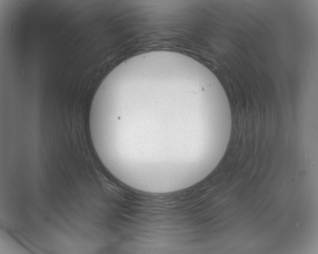 X0000068820570200605191836