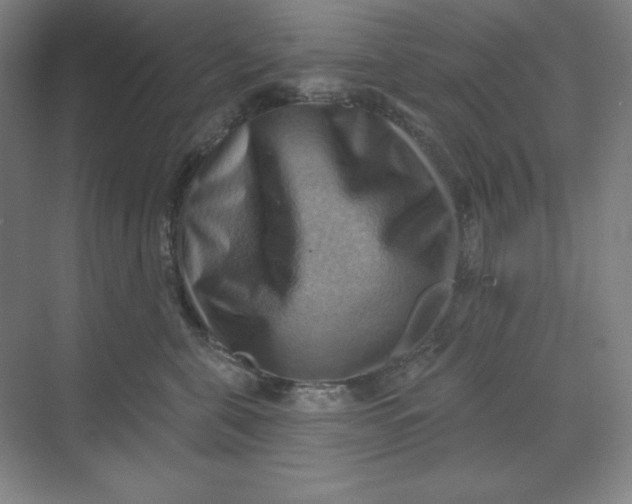 X0000068820571200605191836