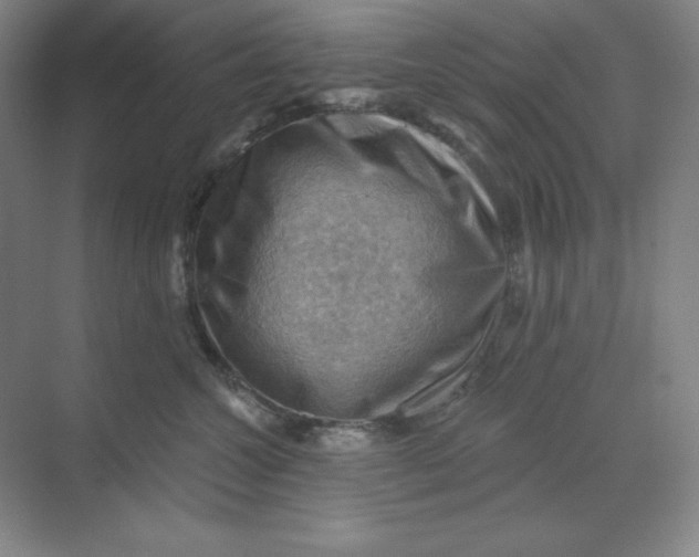 X0000068820572200605191836