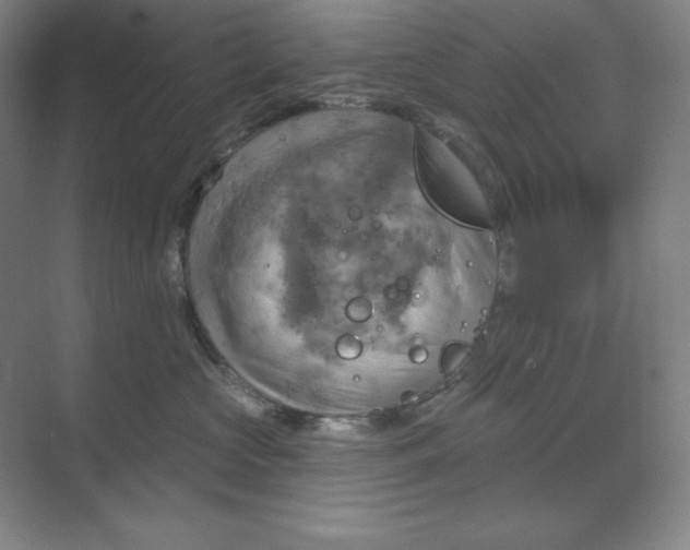 X0000068820573200605191836