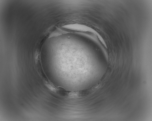 X0000068820574200605191836