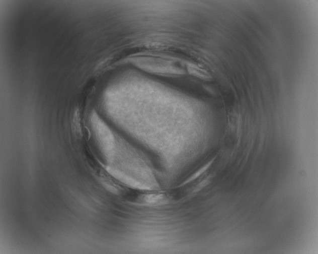 X0000068820575200605191836