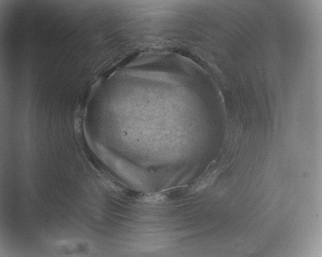 X0000068820576200605191836