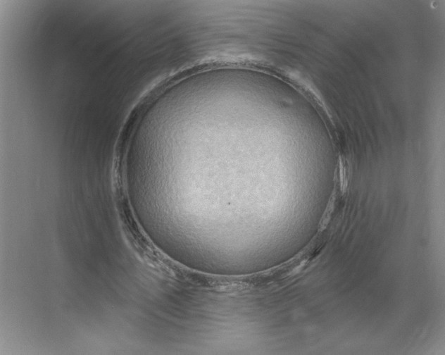 X0000068820579200605191835