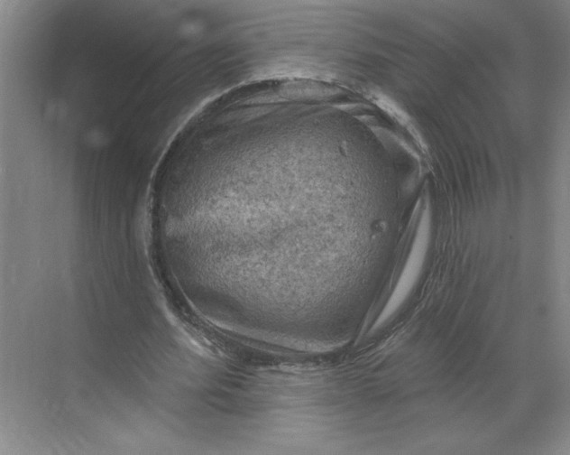 X0000068820580200605191835