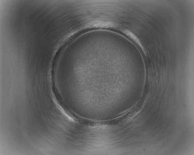 X0000068820581200605191835