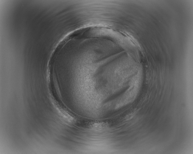 X0000068820584200605191835