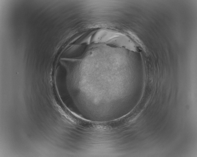 X0000068820585200605191835