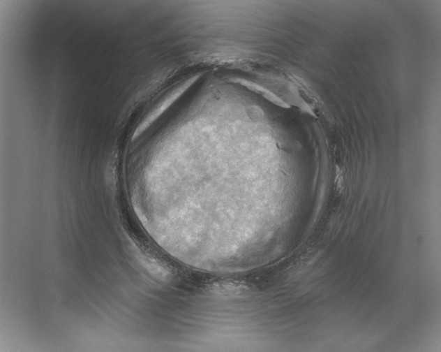 X0000068820586200605191835