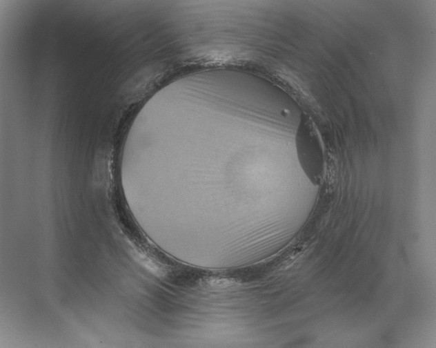 X0000068820590200605191835