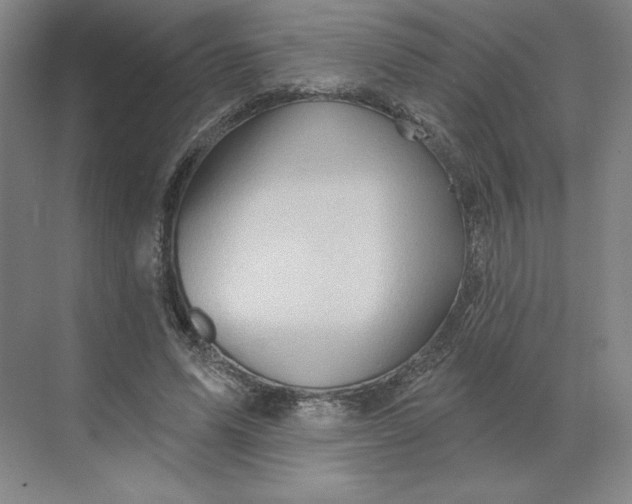 X0000068820591200605191835