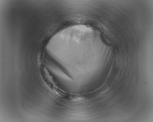 X0000068820594200605191835