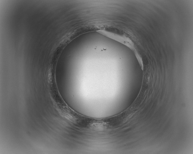 X0000068820595200605191835