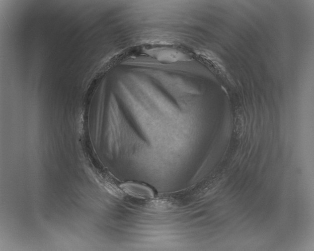 X0000068820596200605191835