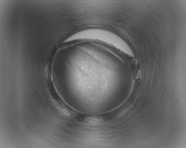 X0000068820597200605191835