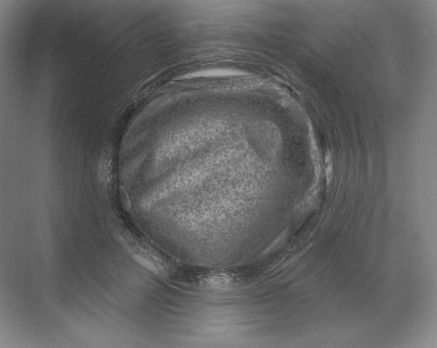 X0000068820600200605191835