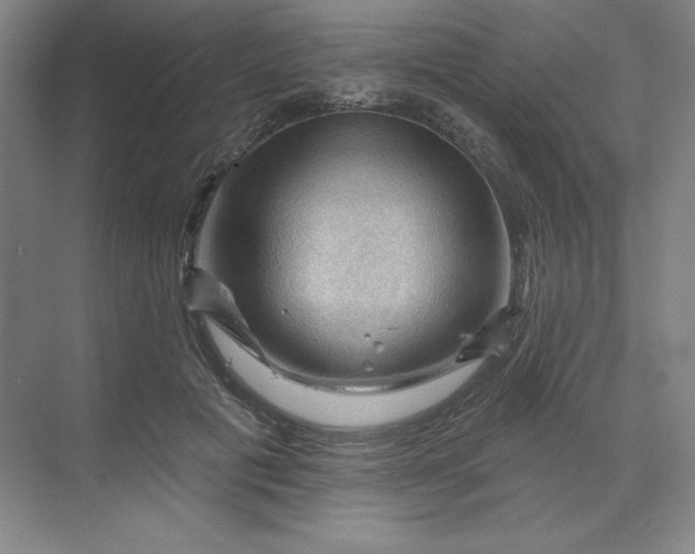 X0000068820601200605191835