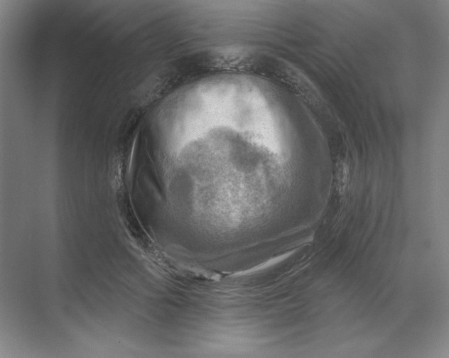 X0000068820602200605191835