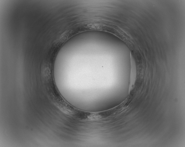 X0000068820603200605191835