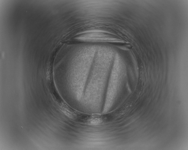 X0000068820604200605191835