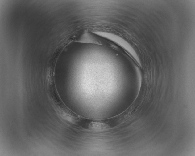 X0000068820605200605191835