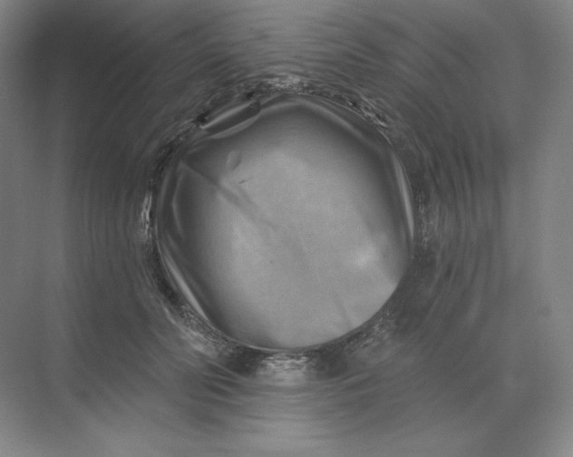 X0000068820606200605191835