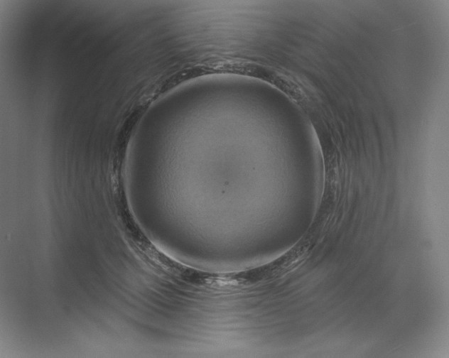 X0000068820607200605191835