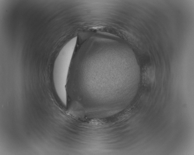 X0000068820608200605191835