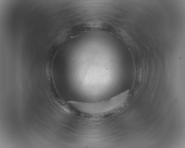 X0000068820609200605191835