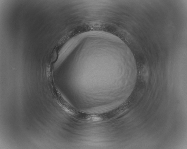 X0000068820610200605191835