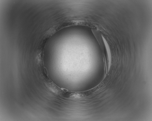 X0000068820611200605191835