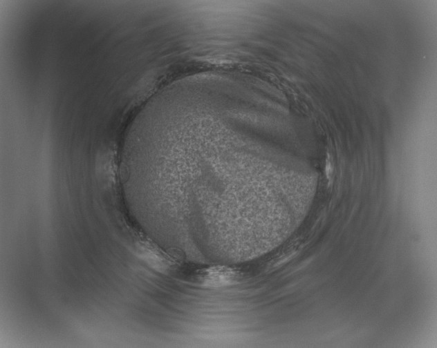 X0000068820612200605191835