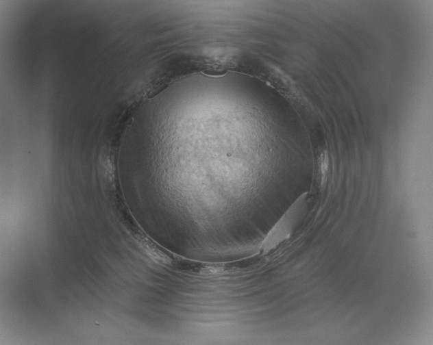 X0000068820613200605191835