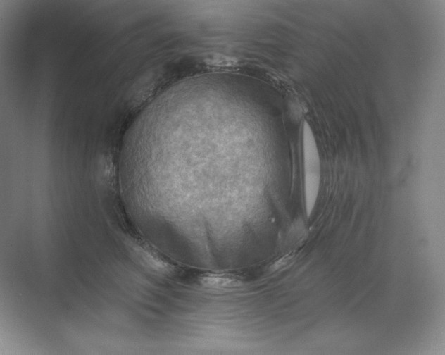 X0000068820614200605191835