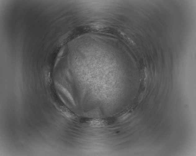 X0000068820615200605191835