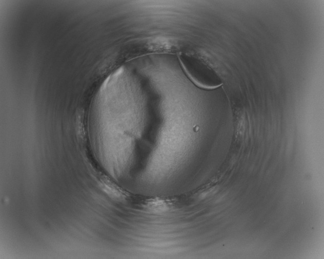 X0000068820616200605191835