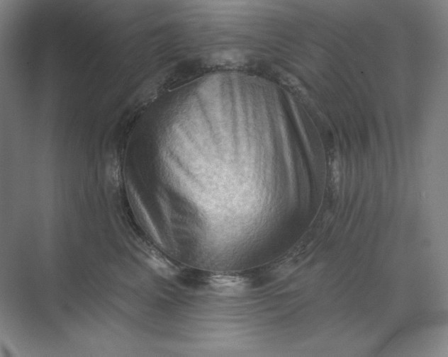 X0000068820617200605191835