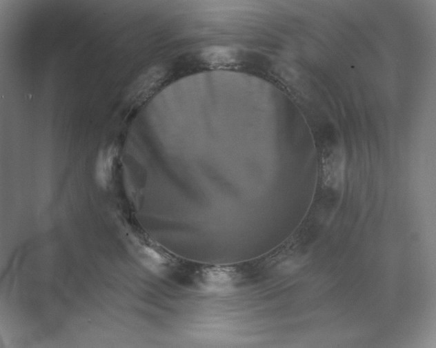 X0000068820618200605191835