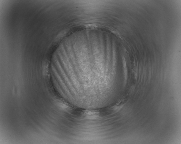 X0000068820619200605191835