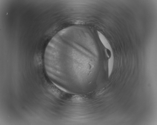 X0000068820620200605191835