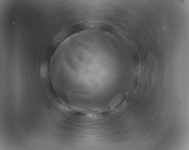 X0000068820623200605191835