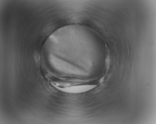 X0000068820624200605191835